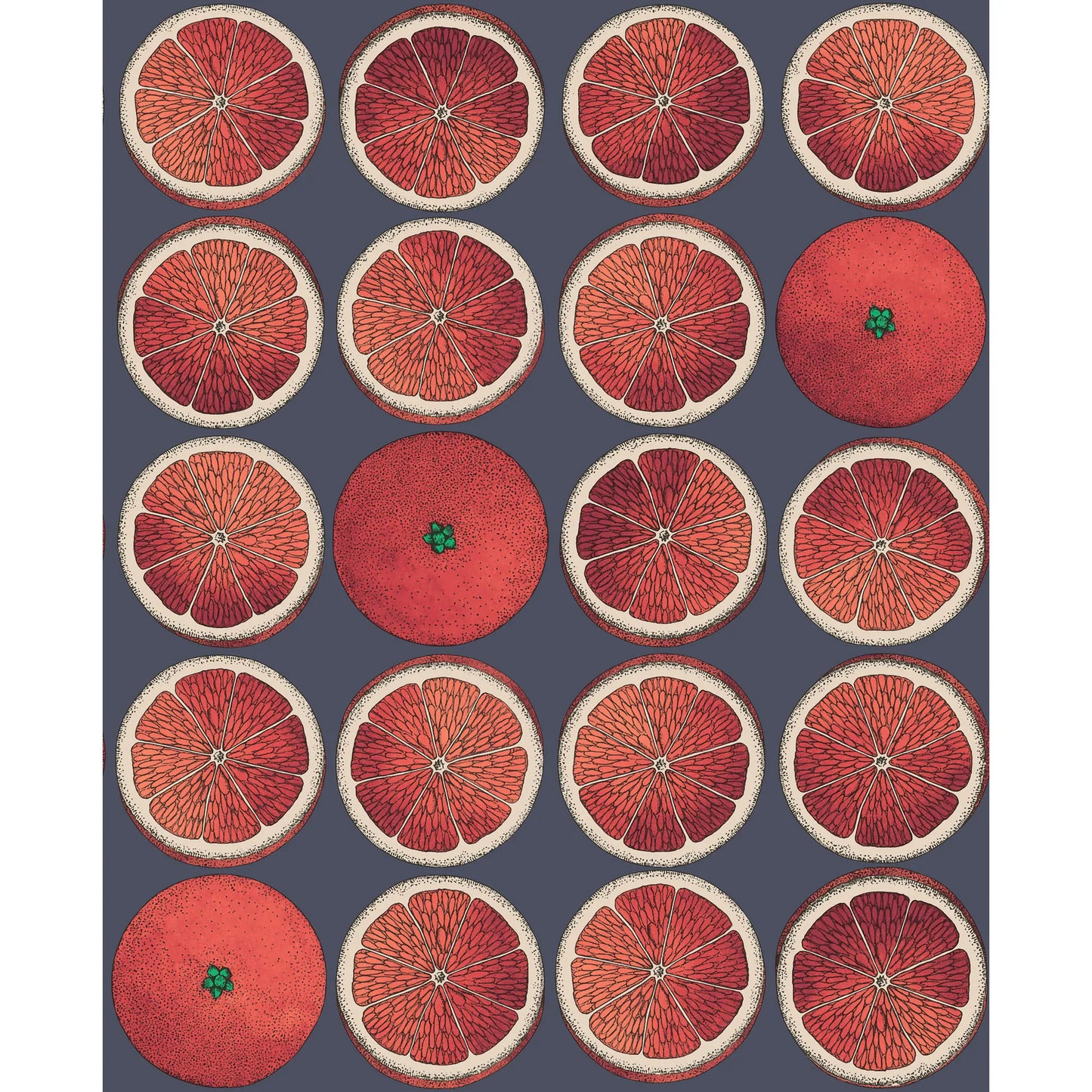 Kravet Arance Blood Orange/Ink
