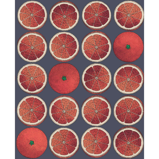 Kravet Arance Blood Orange/Ink