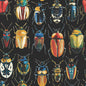 Painted Paper Corvus Beetles Wallpaper Peel and Stick