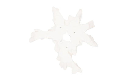 Phillips Collection Large White Contour Cast Root Flower Wall Art-Day Dreamer Decor