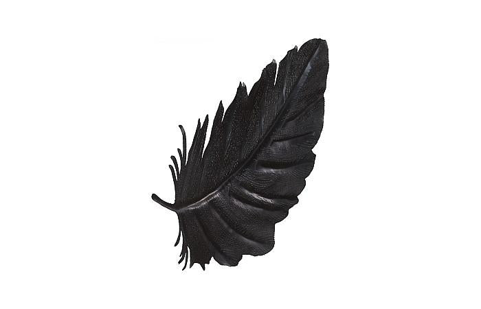Phillips Collection Feather Wall Decor, Black, Metal, SM - Day Dreamer Decor