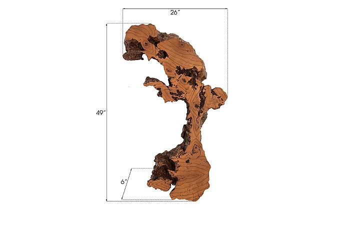 Phillips Collection Medium Burled Root Wall Art, Faux Bois Finish-Day Dreamer Decor