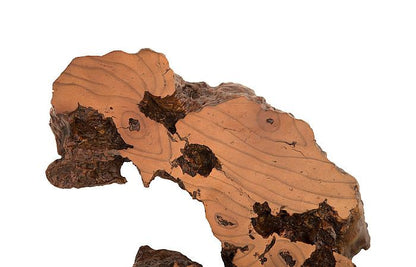 Phillips Collection Medium Burled Root Wall Art, Faux Bois Finish-Day Dreamer Decor