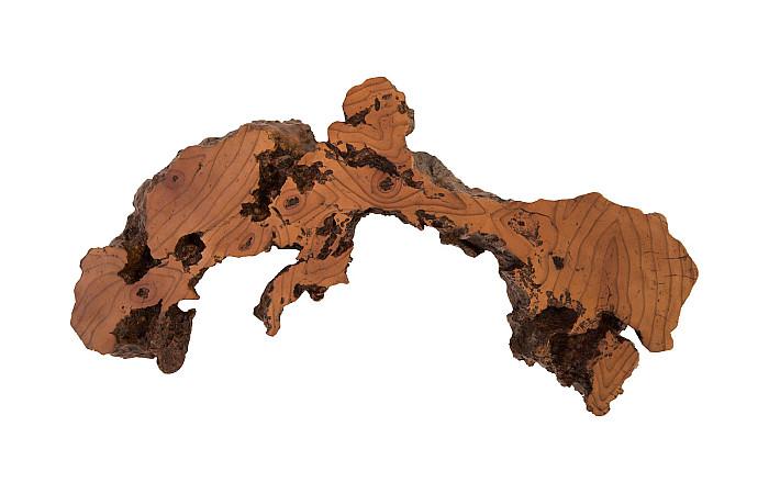 Phillips Collection Medium Burled Root Wall Art, Faux Bois Finish-Day Dreamer Decor