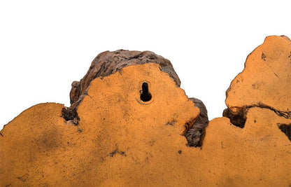 Phillips Collection Medium Burled Root Wall Art, Faux Bois Finish-Day Dreamer Decor