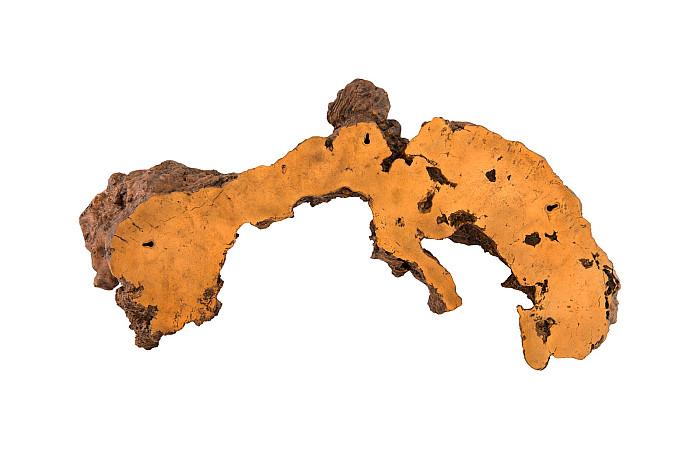 Phillips Collection Medium Burled Root Wall Art, Faux Bois Finish-Day Dreamer Decor